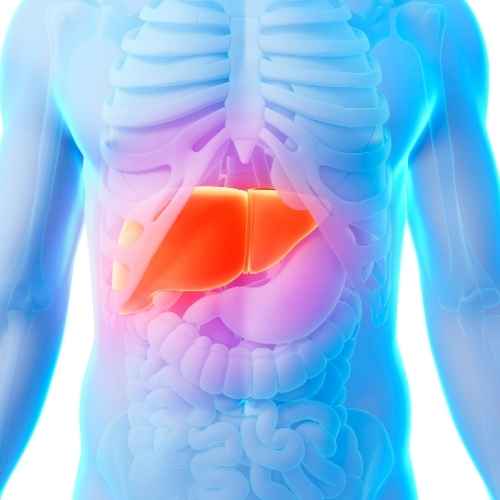 Examen perfil hepático con orden médica: evalúa la salud de tu hígado (ALT, AST, bilirrubina, albúmina). Diagnóstico y seguimiento de enfermedades hepáticas.